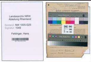 Entnazifizierung Hans Fehlinger , geb. 20.05.1897 (Vertreter)