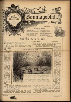 Ausgabe vom Sonntag, den 28. Juli 1895.