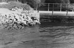 Einleitung Altrhein in den Rhein bei Karlsruhe