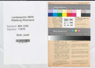 Entnazifizierung Josef Wolf, geb. 13.10.1900 (Registrator)