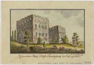 Ansicht der Ruine Lauterburg ehem. Schloß Ludwigsburg bei Coburg, Federzeichnung, um 1800 : Schroth, Gustav Constantin : Rudera vom Berg Schloß Ludewigsburg im Coburgschen / G. C. Schroth. - [S.l.] , [um 1800]. - 1 Kunstbl. : Federzeichnung ; 18 x 10 cm