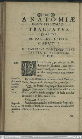 Anatomiae Corporis Humani Tractatus Quartus, De Partibus Capitis