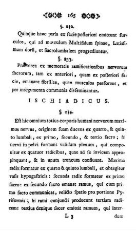 Ischiadicus.