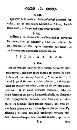 Ischiadicus.