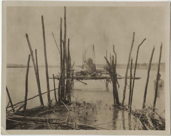 Pêche de barrage aux choroti