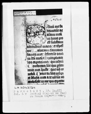 Psalterium und Hymnar (Chorpsalter) — Initiale S (alvum me fac), Folio 55recto