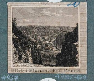 Blick in den Plauenschen Grund