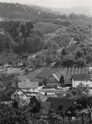Frühlingslandschaft i. d. Ortenau