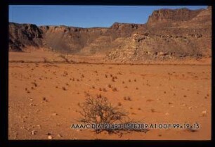 Wadi Hamra