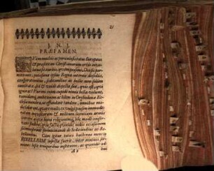 Diss. hist. polit. de rebellibus