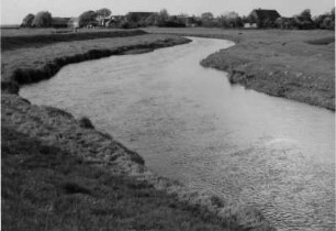 Die Treene bei Hollingstedt, Schlei- und Eidermündung