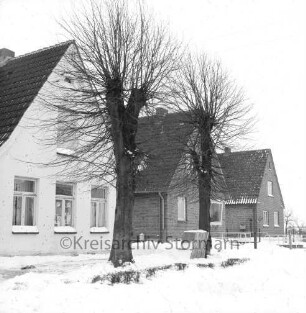 Rethwischdorf: Siedlungshäuser: davor zwei Bäume: Winter