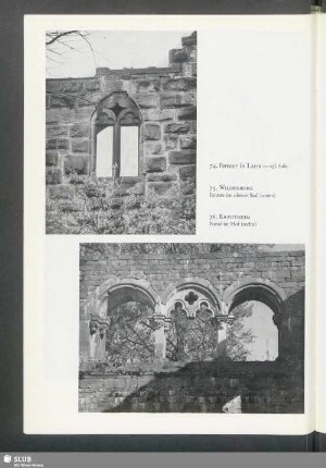 Wildenburg, Fenster im oberen Saal