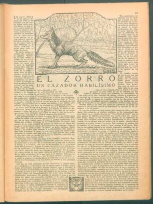 El Zorro : Un cazador habilísimo
