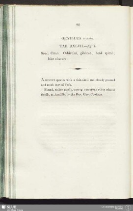 Graphaea minuta. Tab. DXLVII.—fig. 4