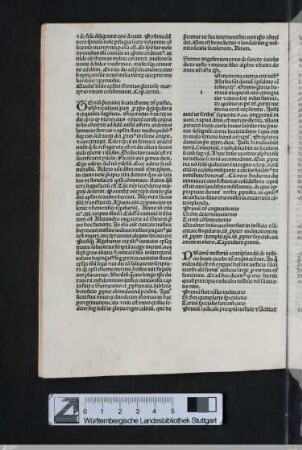 Sermo trigesimus nonus de sancto Iacobo dicto iusto et minore