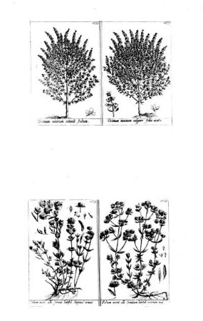 1075-1079