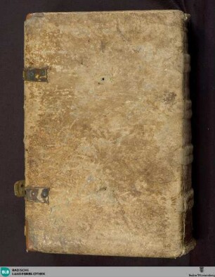 Jüdisch-deutsches Glossar zur Bibel - Cod. Reuchlin 9 : vokalisiert, ohne hebr. Erklärung