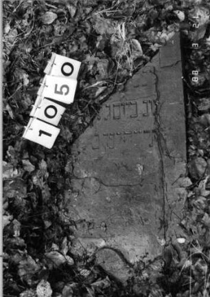 Grabstein 1050 (Index: 99902763) Material: Sandstein Zustand: fast vollständig verwittert Besonderheit: keine Maßangaben: Grabstein 1050