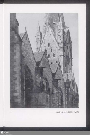 Dom, Nordseite mit Turm