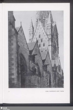 Dom, Nordseite mit Turm