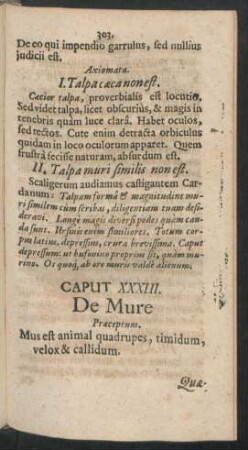 Caput XXXIII. De Mure