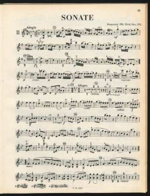 Violino[, KV 379]