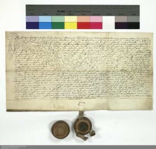 Revers Johann Gottfrieds von Fechenbach bezüglich der Belehnung mit einer Steinkemenate in Salmünster und weiteren im Einzelnen aufgeführten Lehen durch Adalbert [von Schleifras], Abt von Fulda