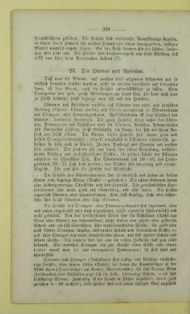 23. Die Citrone und Apfelsine