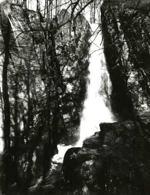 Langenhennersdorfer Wasserfall : Sächsische Schweiz. Gottleubatal. Wasserfall in der Mündungsstufe des Langenhennersdorfer Baches