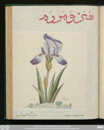 شمارۀ سی و دوم و سی و سوم [ـ دورۀ جدید] [خرداد و تیر ماه ۱۳٤٤]