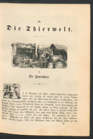 III. Die Thierwelt.
