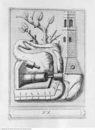Memorie concernenti la città di Urbino dedicate alla Sagra Real Maestà di Giacomo III Re della Gran Bretagna, Kriegsvorrichtung; (Blatt 20)