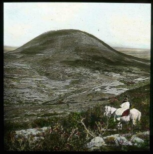 Berg Tabor