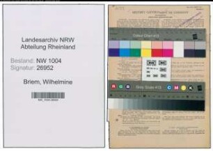 Entnazifizierung Wilhelmine Briem , geb. 20.04.1889 ()