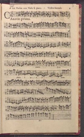 A doi Violini, & Violon se piace.