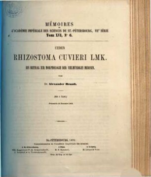 Über Rhizostoma Cuvieri Lmk : Ein Beitrag zur Morphologie der vielmundigen Medusen