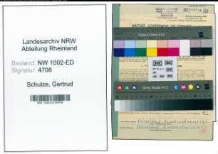 Entnazifizierung Gertrud Schulze, geb. 05.02.1889 (Lehrerin)