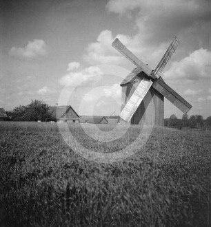 Windmühle in einer deutschen Kolonie bei Równe