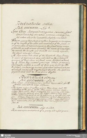 Tab. CCCCXXXVII. - figs. 2 and 3