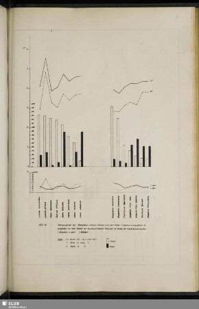 Abb. 14 Mangangehalt der Riedgräser / Simsen / Binsen und der Farne (Untersuchungsgebiet A), verglichen mit dem Gehalt an austauschbarem Mangan im Boden des Hauptwurzelraumes (Angaben in ppm) (Blätter)