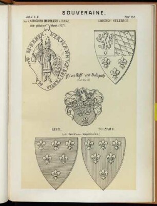 Taf. 132. Siegel d. Markgrafen Hermann v. Banz. an der gefälschten Urkunde v. 1071. - Landgericht Sulzbach. - GF: von Castl und Sultzpach. (nach Hund) - Castl. - [u.] Sulzbach. (n. Kastel'schen Wappentafeln.)