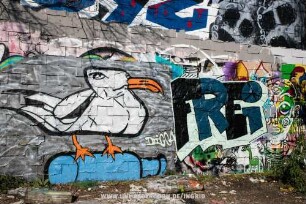 FREi