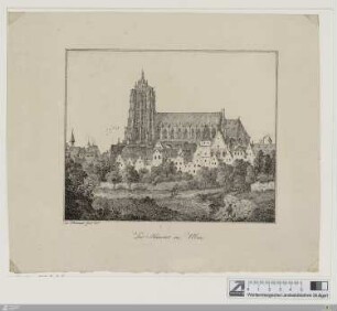 Der Münster in Ulm