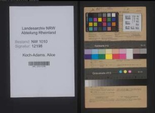 Entnazifizierung Alice Koch-Adams , geb. 19.01.1901 (Lehrerin)
