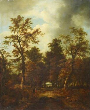 Der Waldweg
