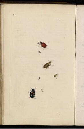 Pl. 121 [bis] Pl. 130 [Pl. siehe arbabische Paginierung]