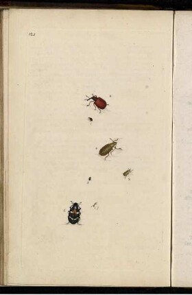 Pl. 121 [bis] Pl. 130 [Pl. siehe arbabische Paginierung]