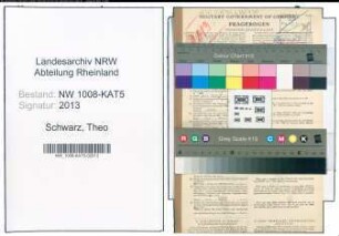Entnazifizierung Theo Schwarz , geb. 29.01.1900 (Steuerberater)