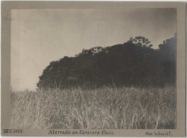 Aterrado on the Caracara River